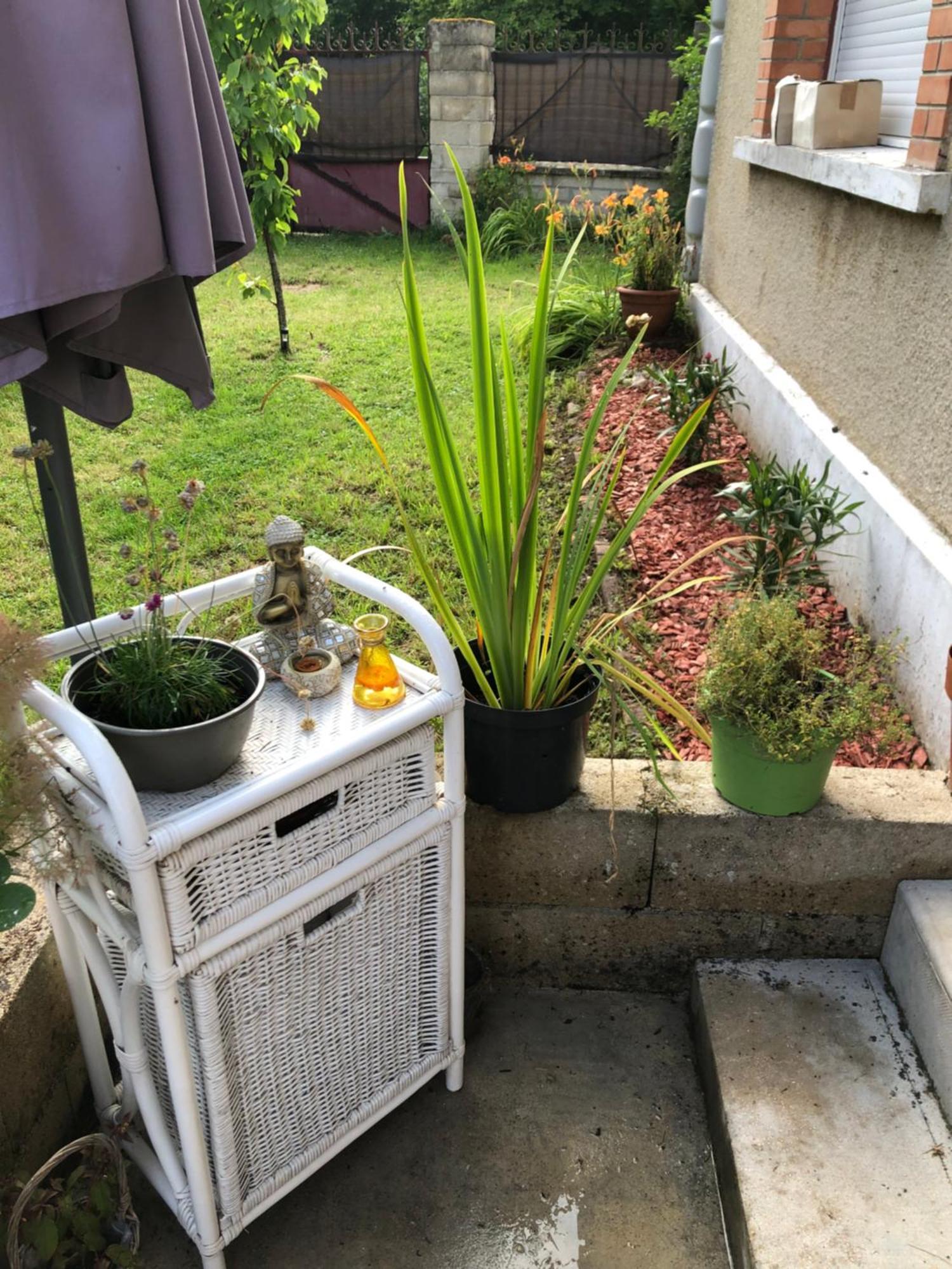 Belles Chambres A La Campagne Avec Petit-Dejeuner Compris Barbuise Exterior foto